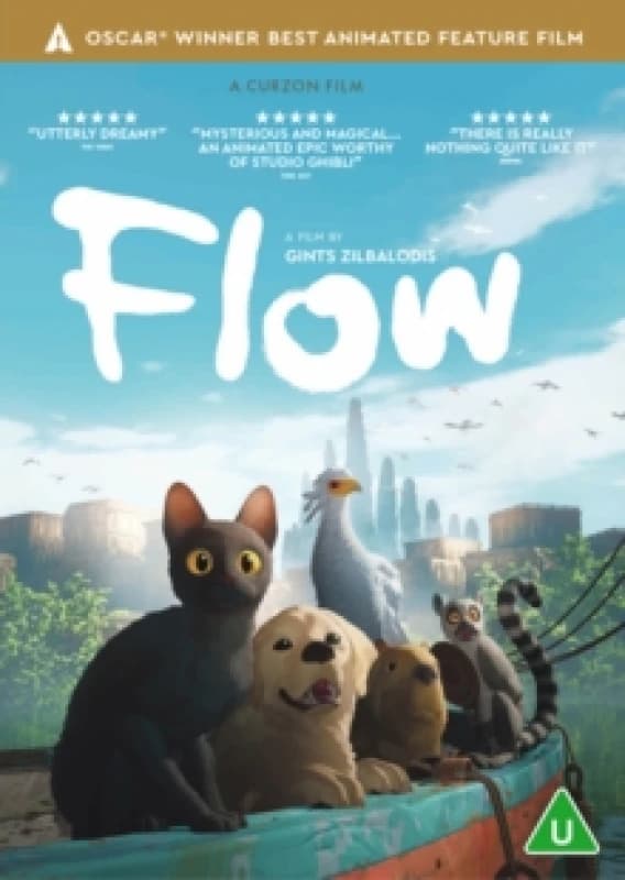 Flow DVD