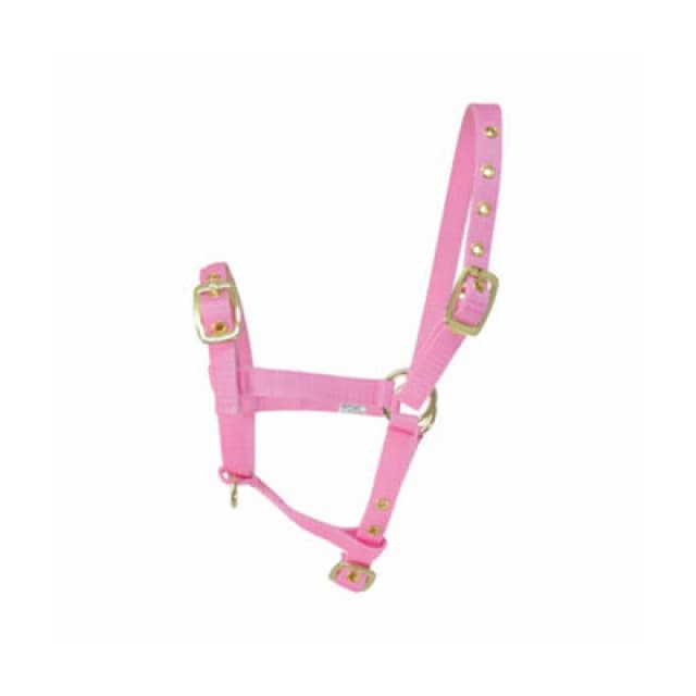 Hy Foal Head Collar Pink (One Size)