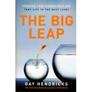 The Big Leap: Conquer Your Hidden Fear and Take Life to the Next Level by Gay Hendricks (Paperback, 2010)