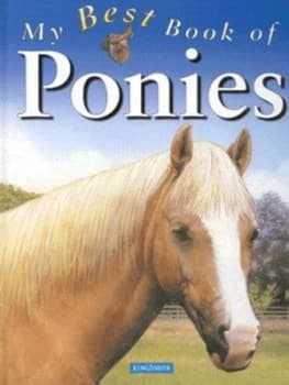 My Best Book of Ponies by Jackie Budd Hardback