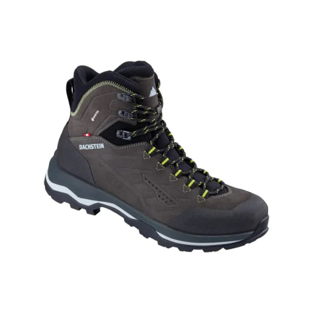 Hiking shoes Dachstein Sarstein GTX Gris Male 41