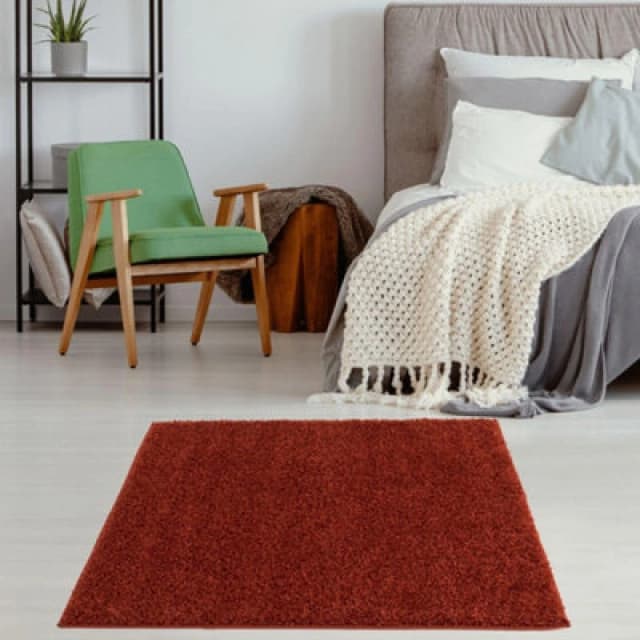 THE RUGS Shaggy Rugs Terracotta Living Room Rug - Soft Fluffy Thick Carpet For Bedrooms & Kitchen Easy To Clean Home Decor Rugs Terracotta Unisex 120