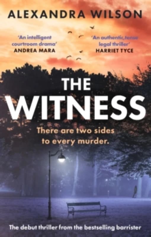 The Witness. Paperback. By Alexandra Wilson Books
