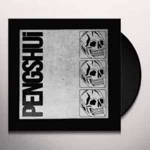 PENGSHUi - PENGSHUi Clear Vinyl