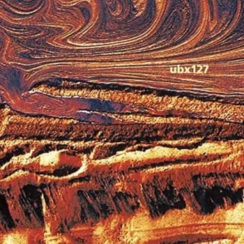 UBX127 - Neural Encoder Vinyl