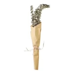 Gallery Interiors Clark Dried Eucalyptus Bundle in Paper Wrap Green