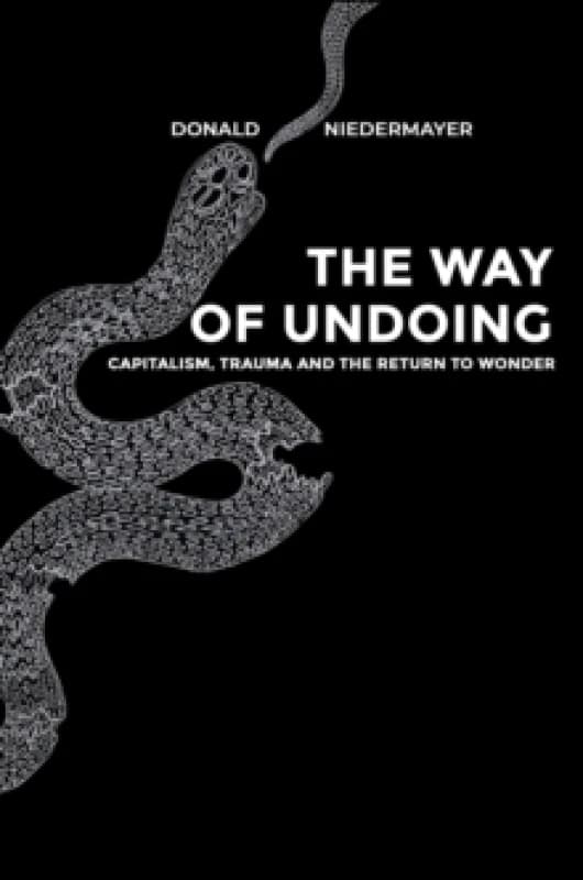 The Way of Undoing : Capitalism, Trauma and the Return to Wonder Paperback / softback