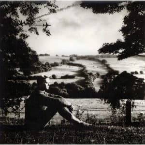 Normil Hawaiians - Whats Going On Vinyl