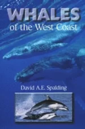 whales of the west coast