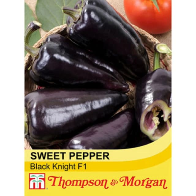 Thompson & Morgan Pepper Sweet Black Knight F1 Hybrid 1 Seed Packet (8 Seeds)