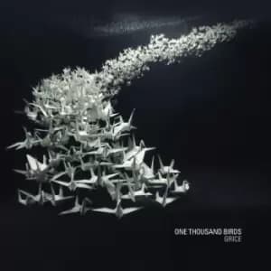 One Thousand Birds by Grice CD Album
