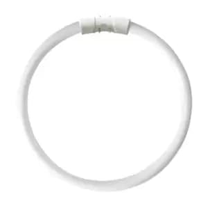 Kosnic 55w CFL T5 Circular Tube 2GX13 Cool White - KFT55STC/4P-840