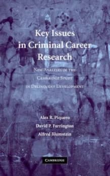 Key Issues in Criminal Career Research by Alex R. Piquero Paperback