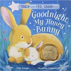 Goodnight My Honey Bunny Novelty book 2018