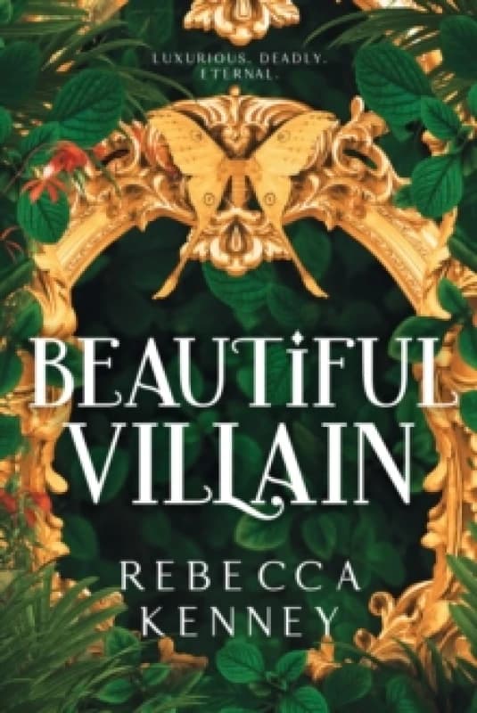 Beautiful Villain Paperback / softback