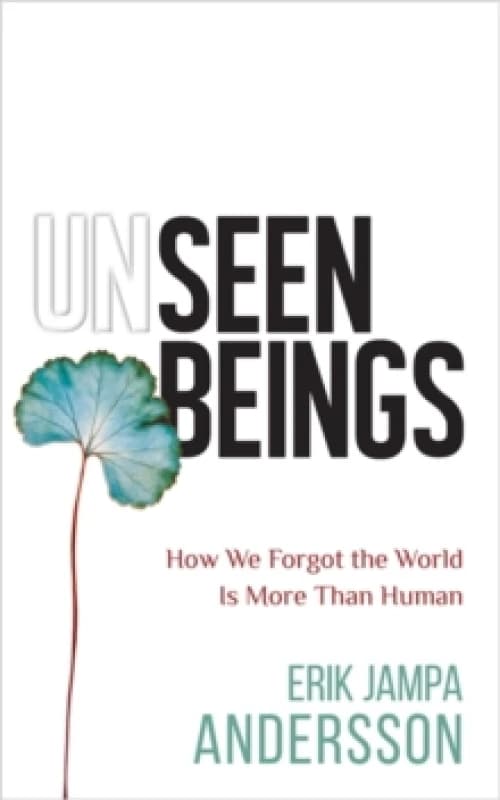 Unseen Beings : How We Forgot the World Is More Than Human Paperback / softback