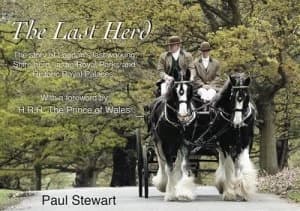The Last Herd by Paul Stewart Hardback