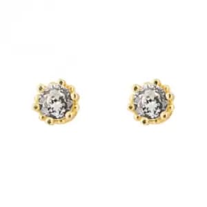 Gold Plated Zirconia Stud Earrings E6272C