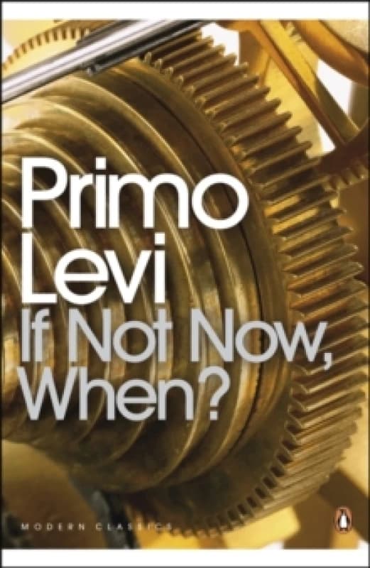 If Not Now, When? Paperback / softback