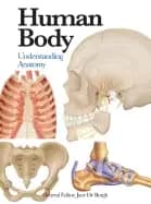 human body understanding anatomy
