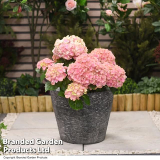 THOMPSON & MORGAN Grey Stone Effect Planter for Garden Outdoors Weatherproof Plastic (x1) KF7517