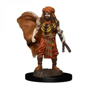 D&D Icons of the Realms Premium Figures (W4) Human Druid Male