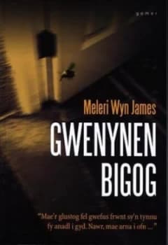 Gwenynen Bigog by Meleri Wyn James Book