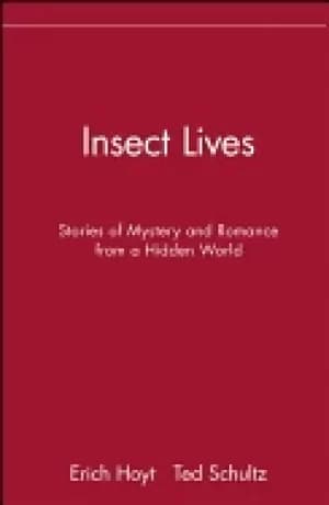 insect lives stories of mystery and romance from a hidden world