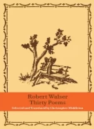 thirty poems