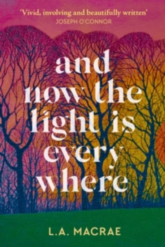 And Now the Light is Everywhere : A stunning debut novel of family secrets and redemption Hardback