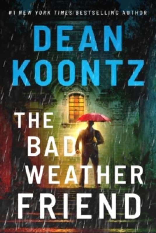The Bad Weather Friend Paperback / softback
