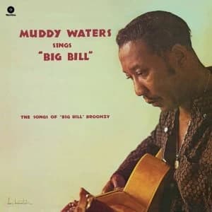 Muddy Waters - Sings Big Bill Broonzy Vinyl