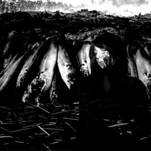 Suzie Stapleton - We Are The Plague Vinyl