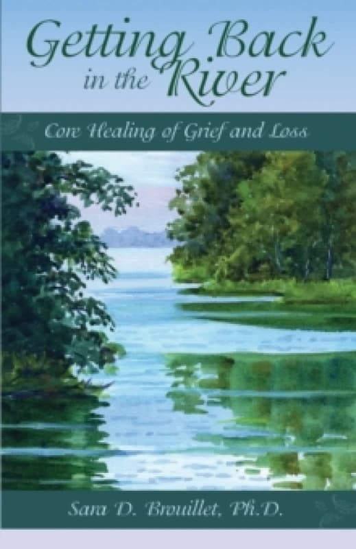 Getting Back In The River Paperback / softback