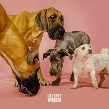 THE LOTTERY WINNERS - The Lottery Winners CD