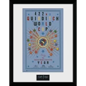 Harry Potter Quiditch World Cup 2 Collector Print (30 x 40cm)