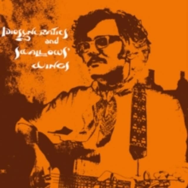 Idiosyncratics and Swallows' Wings Vinyl