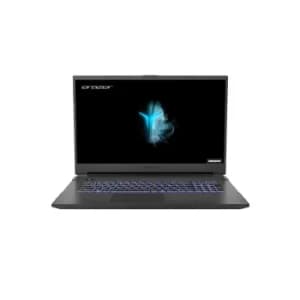 MEDION Defender NH77EPY-M Ryzen 5-5600H 16GB 512GB SSD RTX 3060 17.3" Windows 11 Laptop