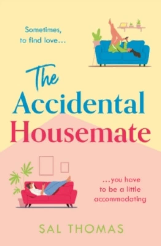 The Accidental Housemate Paperback / softback
