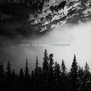 Evergreen by After The Burial CD Album