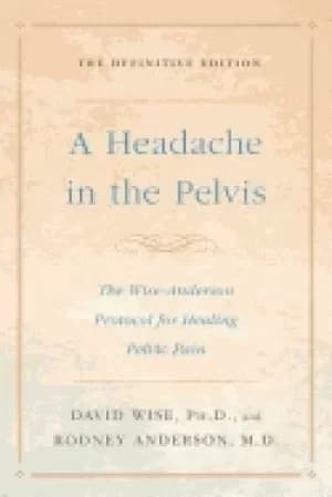 headache in the pelvis the wise anderson protocol for healing pelvic pain t