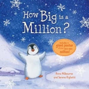 How Big Is a Million by Anna Milbourne and Serena Riglietti Hardback
