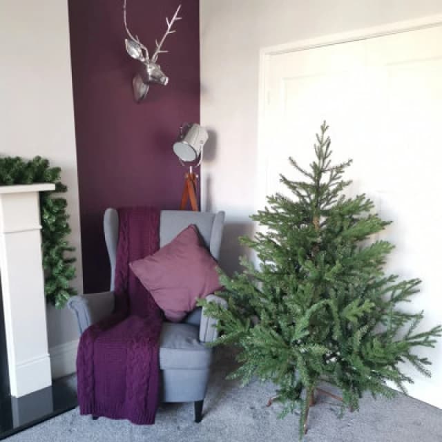 Samuel Alexander 5ft (153cm) Premier Christmas Tree Glenshee Spruce PE/PVC Natural Look Green