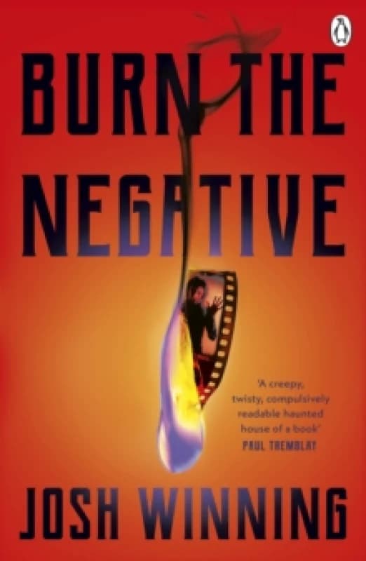 Burn The Negative Paperback / softback