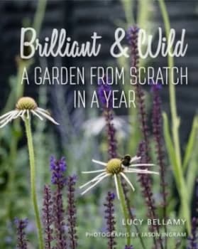 Brilliant and wild by Lucy Bellamy