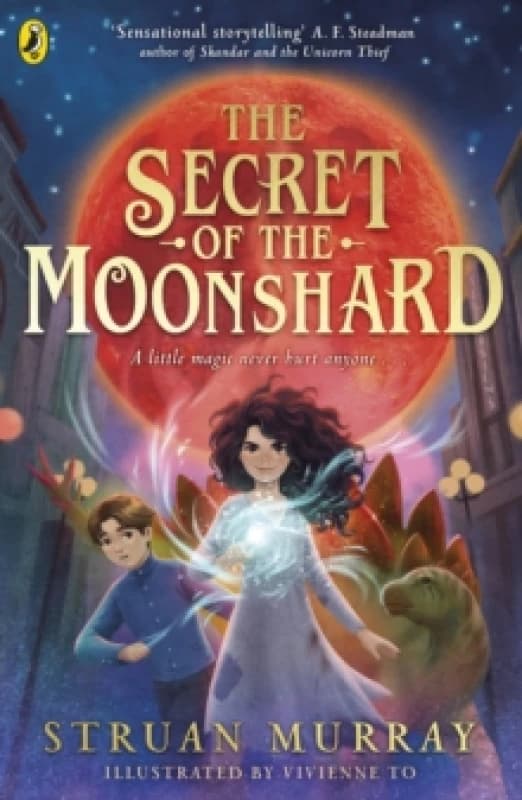 The Secret of the Moonshard Paperback / softback