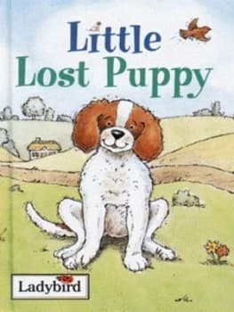 Little Lost Puppy by Ronne Randall and Karen Hiscock Hardback