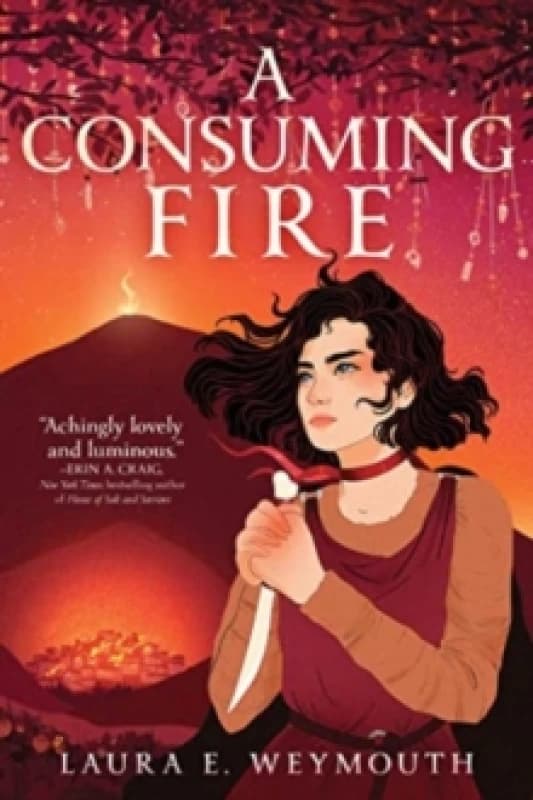 A Consuming Fire Paperback / softback