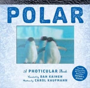 Polar by Dan Kainen Hardback