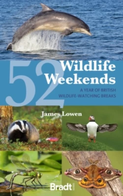 52 Wildlife Weekends : A Year of British Wildlife-Watching Breaks Paperback / softback